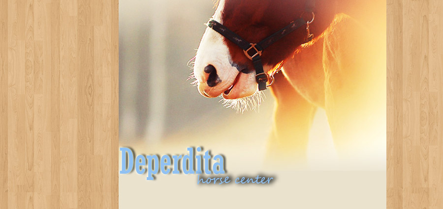 ● Deperdita horse Center ™  //  style 4.0   / mozilla ●